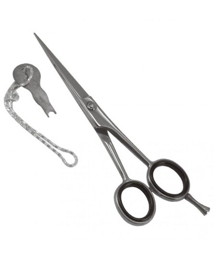 Professional Hair Cutting Scissors